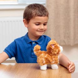 Rödbrun Interaktiv Kattunge Animigos