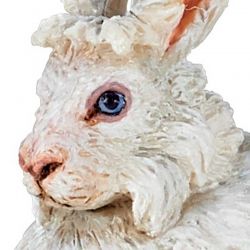 Papo Kanin Angora