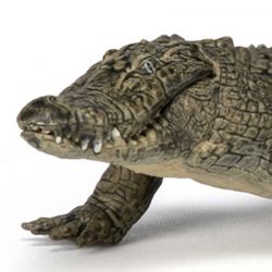 Papo Alligator