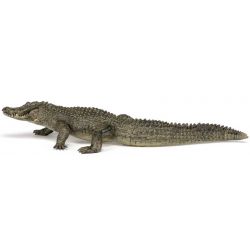Papo Alligator