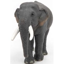 Papo Elefant Asiatisk Leksaksdjur