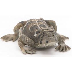 Papo Paddleguan
