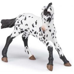 Papo Appaloosa föl svart