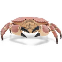 Papo Krabba