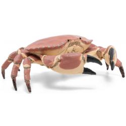 Papo Krabba
