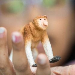 Schleich Näsapa Proboscis Monkey 14846