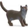 Schleich Katt Brittiskt Korthår British Shorthair Cat 13973
