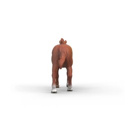 Schleich Engelsk Fullblod Hingst 14915