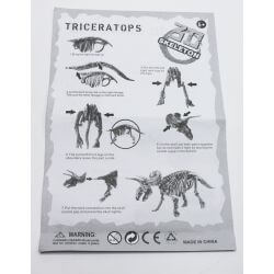 Utgrävning Dinosaurie Triceratops