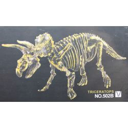 Utgrävning Dinosaurie Triceratops