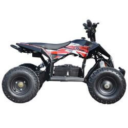 Mini ATV Eldriven till barn 1000 watt