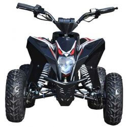 Mini ATV Eldriven till barn 1000 watt