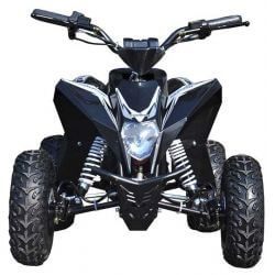 Mini ATV Eldriven till barn 1000 watt