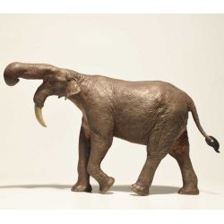 Eofauna Deinotherium Figur