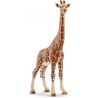 Schleich Giraff Hona 14750