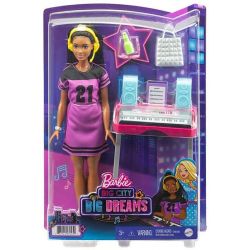 Barbie Playset & Doll Assortment