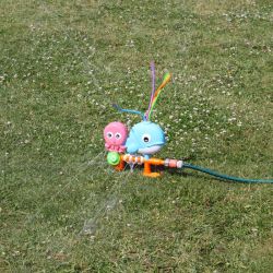 Vattensprinkler Val och bläckfisk till sommarens lek