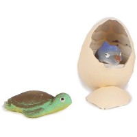 Växande djur i ägg